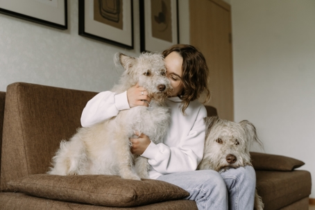 person with two dogs on couch